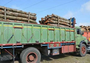 کشف چوب قاچاق در دامغان