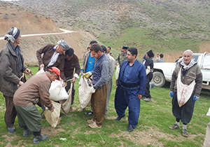 آغاز کودپاشی بهاره در مراتع سردشت