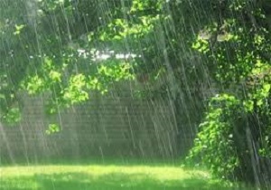نوای بارش باران در بیشتر مناطق استان کردستان