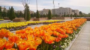 اجرای برنامه های متنوع استقبال از بهار در منطقه 5
