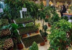 برپایی سیزدهمین نمایشگاه گل و گیاه و ماهیان زینتی در همدان
