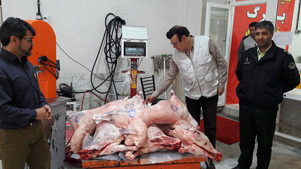 توقیف خودرو حامل لاشه گوسفند غیرمجاز در طقبه- شاندیز