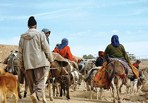 آغاز کوچ بهاره عشایر در فارس
