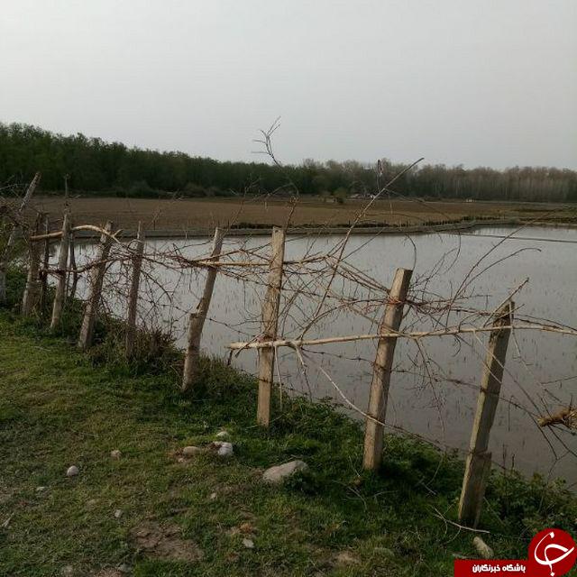 نمایی زیبا از دریاچه شهربند + تصاویر