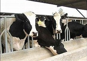 کاهش یک چهارمی کانون‌های آلوده تب برفکی استان مرکزی