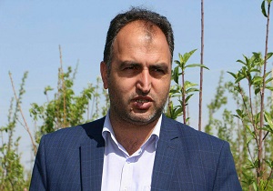 سالانه بیش از ۱۰ میلیون اصله نهال در میاندوآب تولید می‌شود
