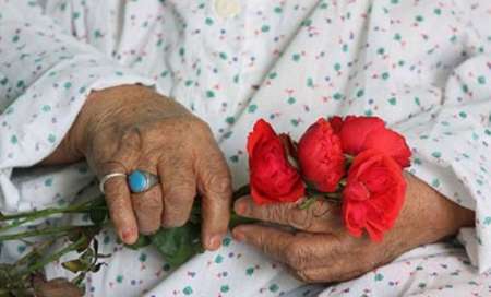 نیکی به پدر و مادر از منظر تفسیر المیزان