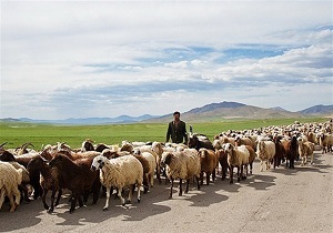 نیمه دوم فروردین شروع کوچ بهاره عشایر اندیکا