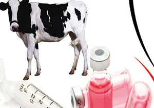 تجویز بی رویه دارو برای دام‌ها، ممنوع