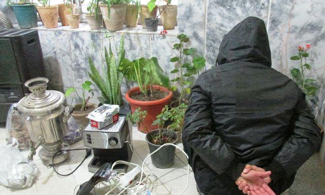 دستگیری سارق گلخانه در فریمان