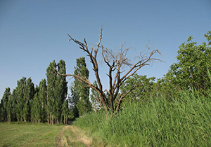 تصاویری از طبیعت چشم‌نواز و بکر در روستای تکه