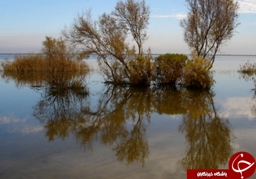 قابوس برجی به بلندای تاریخ در گنبدکاووس