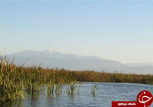 قابوس برجی به بلندای تاریخ در گنبدکاووس