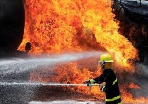 آتش سوزی در جنگل نیاتک هیرمند