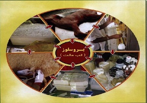 برگزاری کلاس آموزشی بروسلوز در روستای تجگ خوسف