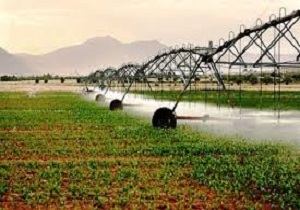 توسعه سیستم های آبیاری نوین مهمترین راهکار و توسعه رونق کشاورزی در اردبیل است