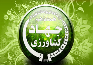 مشارکت ناوگان برداشت استان فارس در برداشت غلات کشور