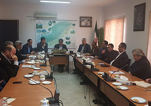 ساماندهی تاکسی های تلفنی در گلستان