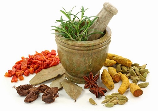 آذربایجان غربی دارنده رتبه نخست کشوری ازلحاظ تنوع گیاهان دارویی