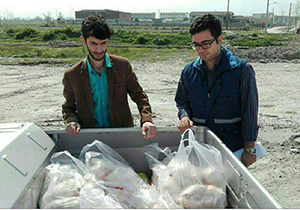 کشف بیش از ۹۰ کیلوگرم، فرآورده دامی غیر بهداشتی