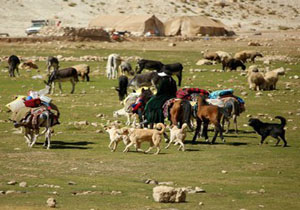 آغاز کوچ بهاره عشایر در هرمزگان