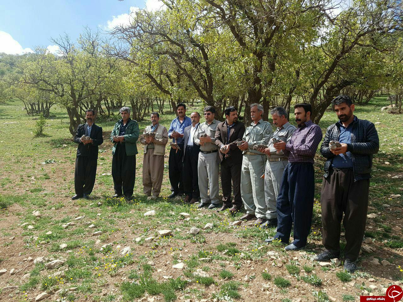 کشف بیش از هزار متر تور ماهیگیری غیر مجاز +تصاویر
