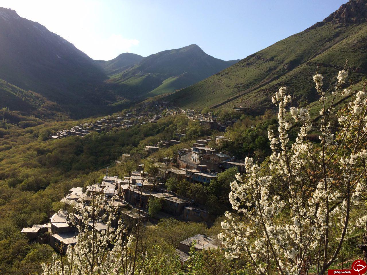 نمایی از طبیعت بهاری در &laquo;رودبر&raquo; + تصاویر