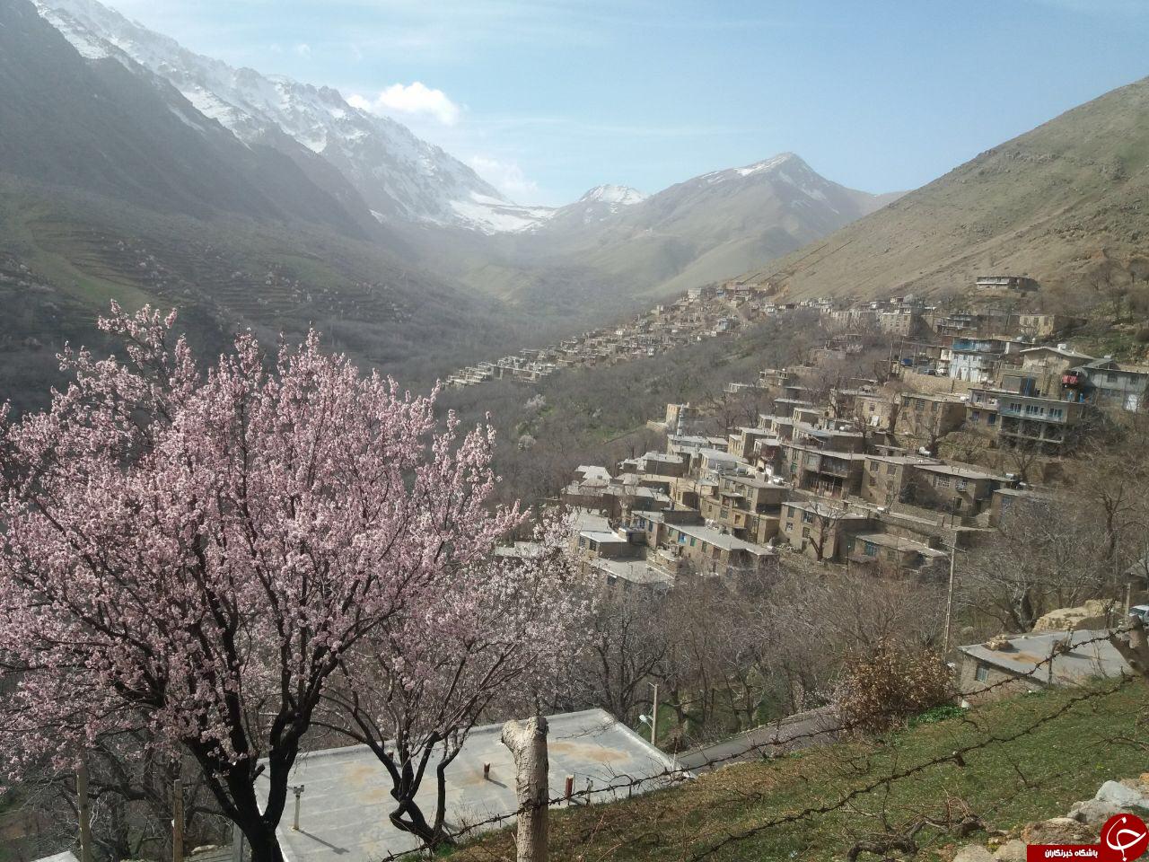 نمایی از طبیعت بهاری در &laquo;رودبر&raquo; + تصاویر