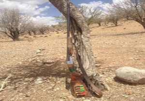 متخلف شکار در دام محیط بانان