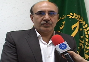 خرید گندم و کلزای مازاد بر نیاز کشاورزان در لرستان