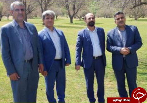بازدید مدیر کل حفاظت و حمایت سازمان جنگلها در کشور، از جنگل های بلوط