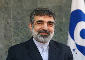 معاون بین الملل سازمان انرژی اتمی با همتای چینی خود دیدار کرد