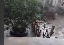 فیلمی از بارش تگرگ در روستای چقاماران