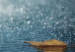 آغاز بارش باران در ایلام