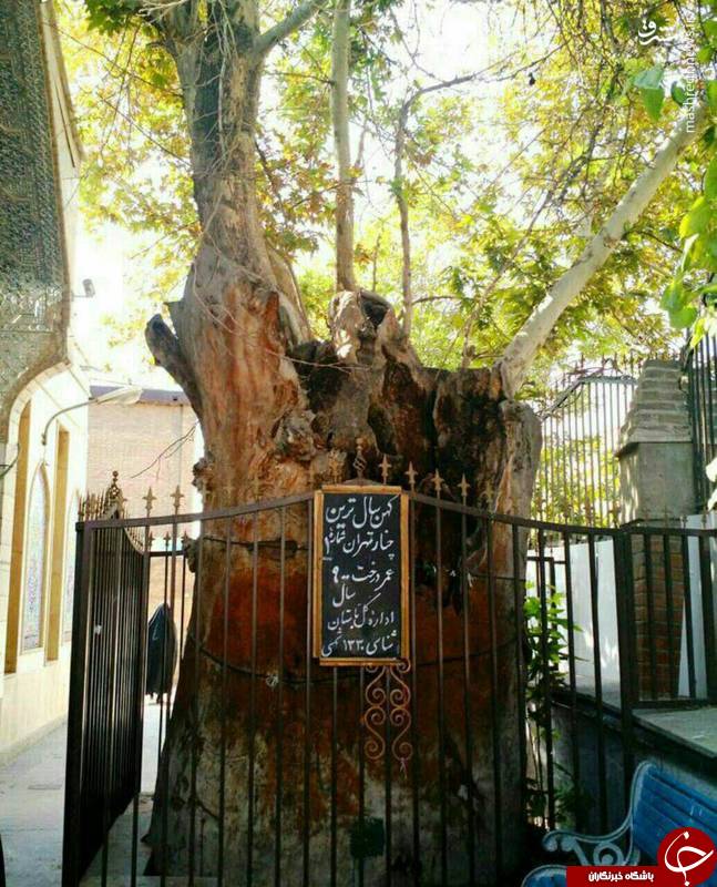 پربازدیدهای وبگردی؛