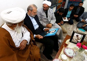 دیدار لاریجانی با خانواده شهید لطفی نیاسر