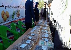 برگزاری نمايشگاه محصولات زراعتی و صنايع دستی زنان در ولايت دايکندى