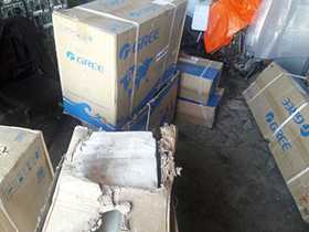 کشف تعدادی پرنده آبزی وحشی در گلپایگان