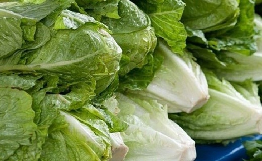 بهترین خوراکی برای صبحانه چیست/ علت حالت تهوع بارداری چیست/ خطر مصرف غذاهای کنسروی/ خواص عجیب کاهو&nbsp;