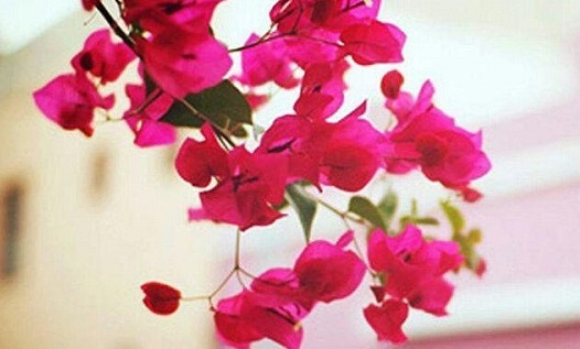 راه&zwnj;کار بی&zwnj;نظیر پیامبر اسلام (ص) در کنترل خشم +تصویرنوشته