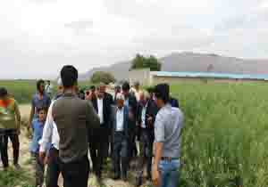 لزوم ایجاد کشاورزی مکانیزه در شرایط خشکسالی