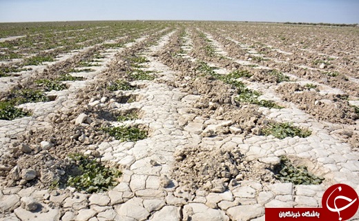 تداوم خشکسالی در سیستان پایان عمر هزاران ساله کشاورزی را رقم خواهد زد