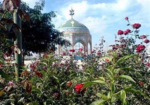 حضور گردشگران آلمانی در مقبره شهدای گمنام اندیمشک