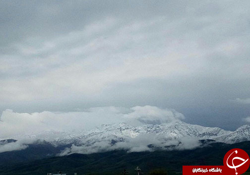 بارش برف بهاری در گردنه گله بادوش الیگودرز+عکس