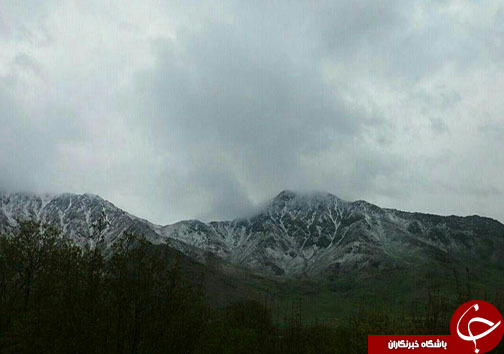 بارش برف بهاری در گردنه گله بادوش الیگودرز+عکس