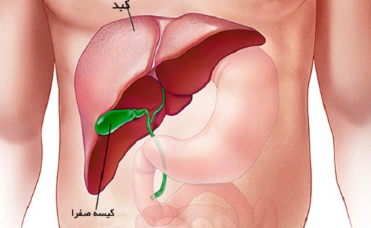 اثر کمبود پتاسیم در بدن/ اهمیت کبد در سلامتی انسان/ آیا آلرژی فصلی دارید/ خوراکی مفید برای تنظیم فشار خون