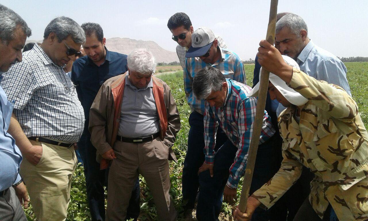باید راهی پیدا کنیم که مشکلات صادرات را حل کنیم