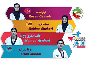 نشان برنز تکواندوکار فارس در مسابقات نوجوانان جهان