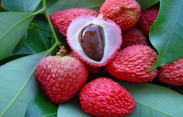 تجملاتی&zwnj;ترین و عجیب&zwnj;ترین میوه&zwnj;های دنیا کدامند؟ +تصاویر
