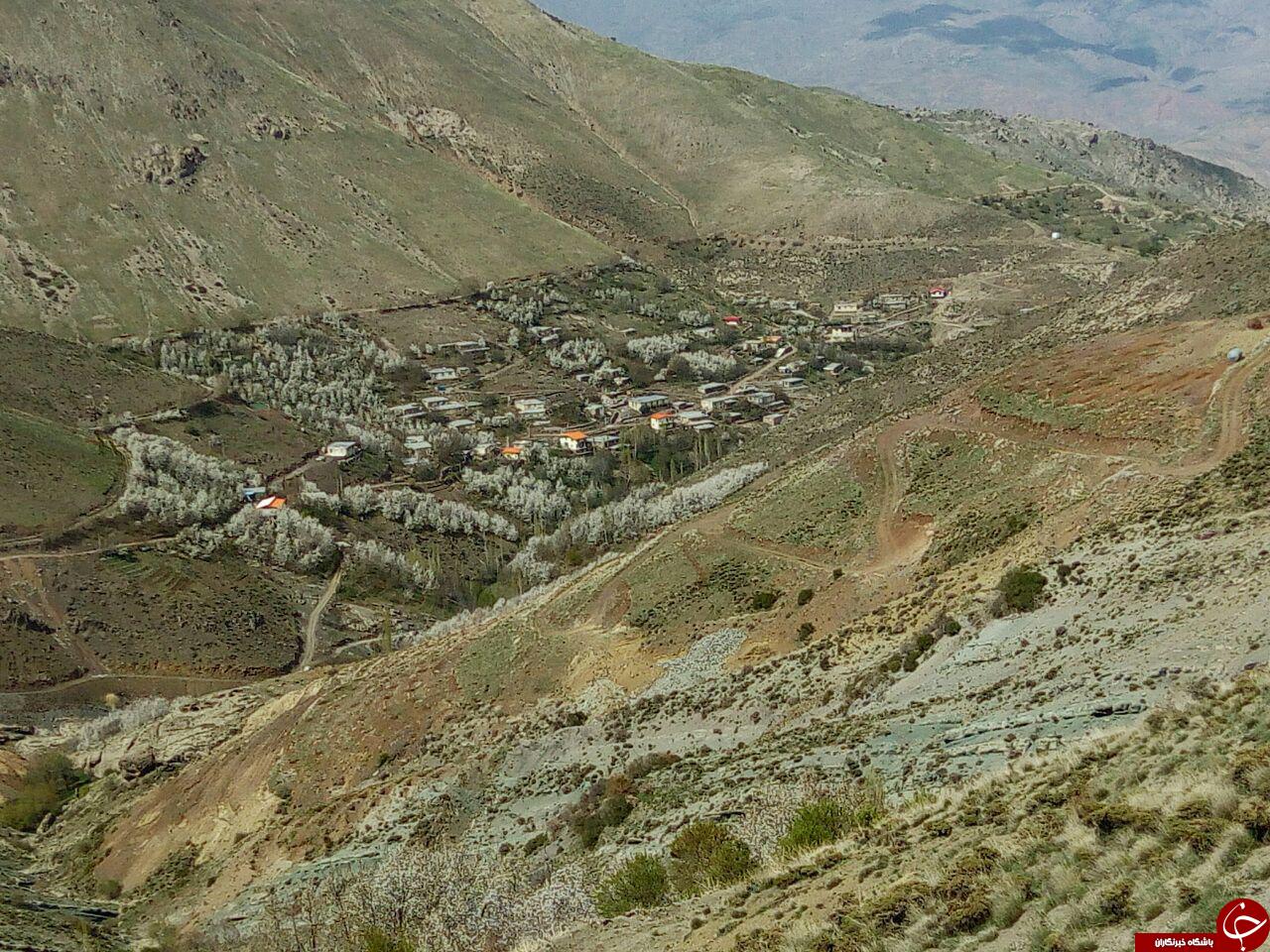 نمایی از طبیعت بهاری در روستای تنوره + تصاویر
